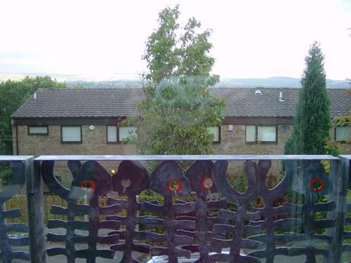 Dawnsrailingsfromfrontroom